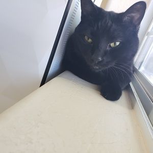 Meet your Posher, Ana